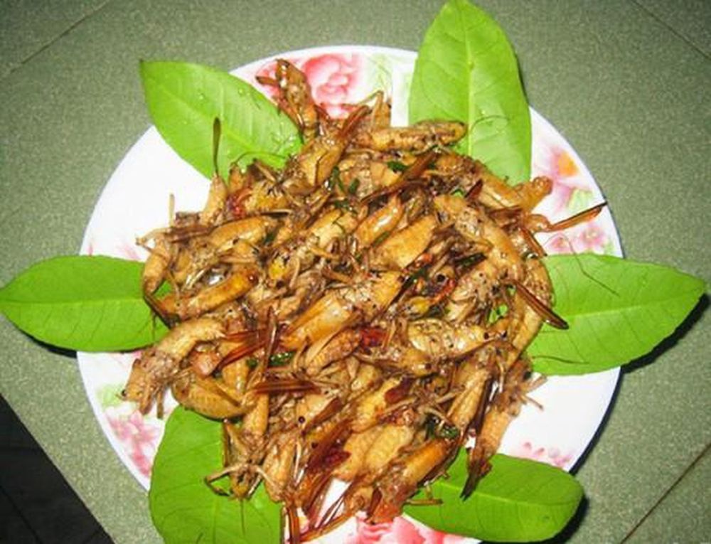 banh chung den anh 7