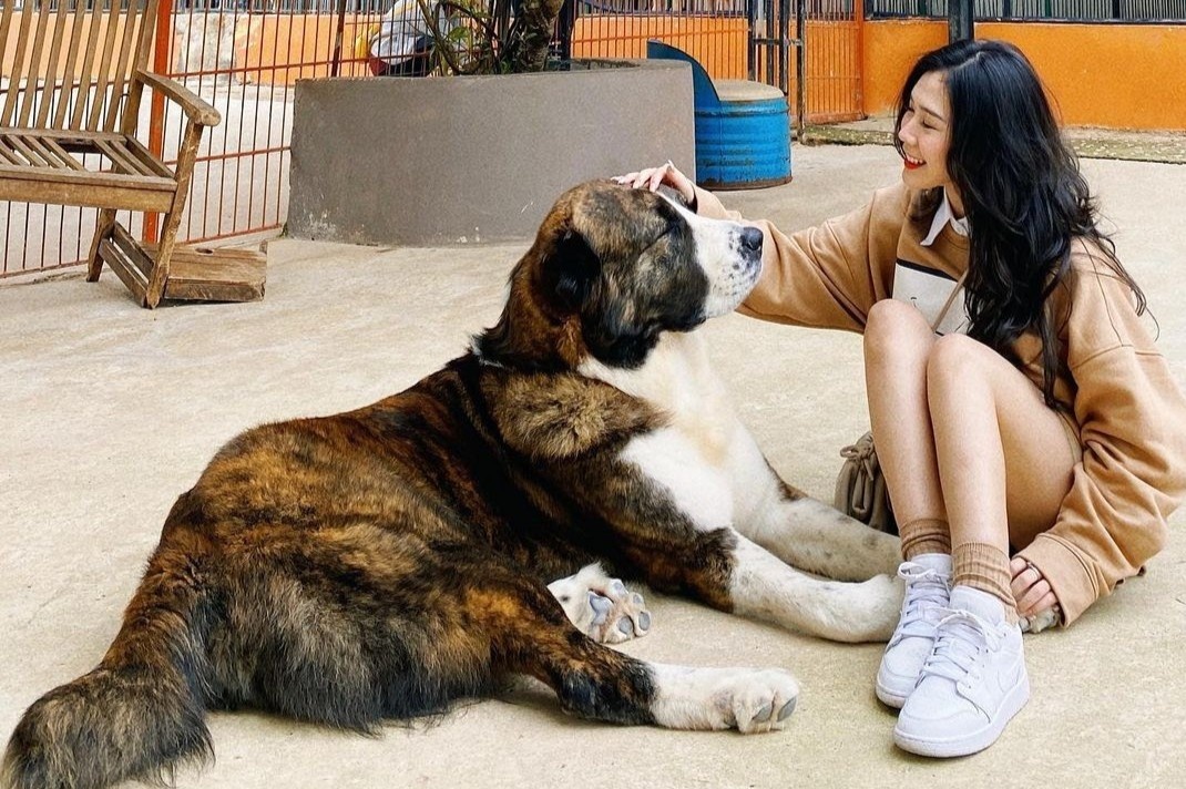 Nguoi Viet thich du lich TP.HCM, Da Lat dip cuoi nam hinh anh