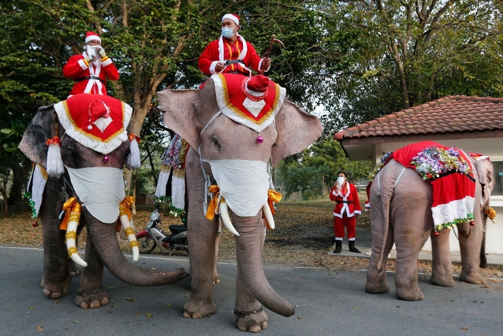 ông già noel ảnh 3 ong gia noel anh 3