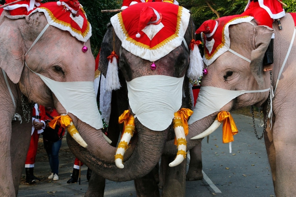 ông già noel ảnh 4 ong gia noel anh 4