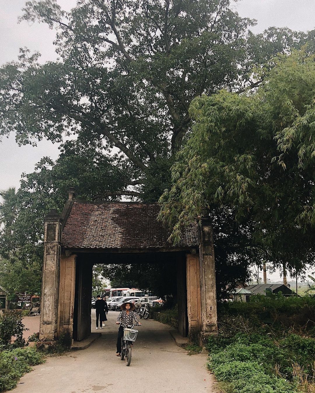 lang co viet nam anh 1