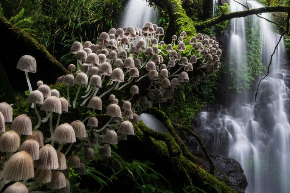 Loat anh thien nhien dep nhat nam 2020 hinh anh