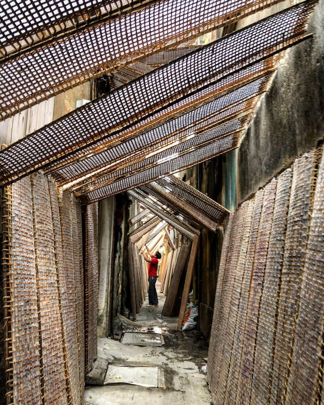 lang co viet nam anh 2