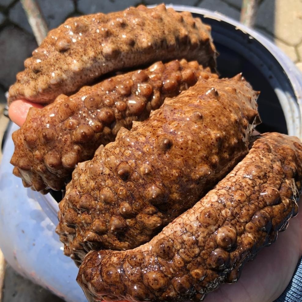 dac san phu quoc anh 2