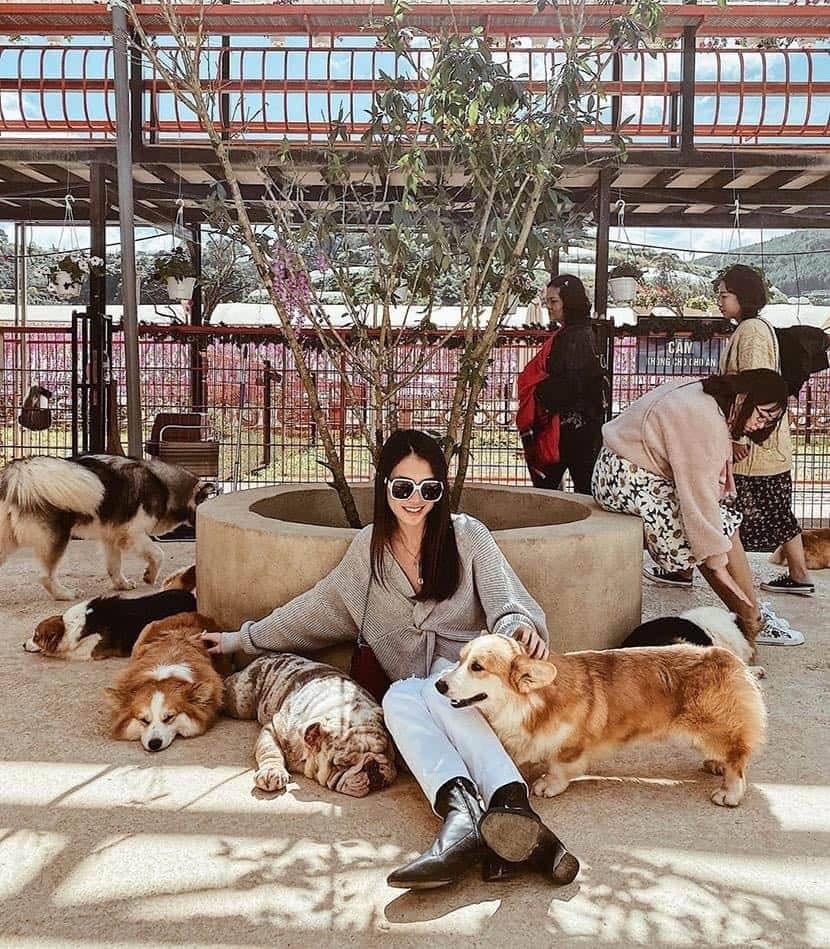 cafe cho da lat anh 2