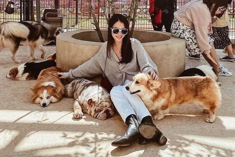 4 quan ca phe cho hoi yeu cho meo o Da Lat hinh anh