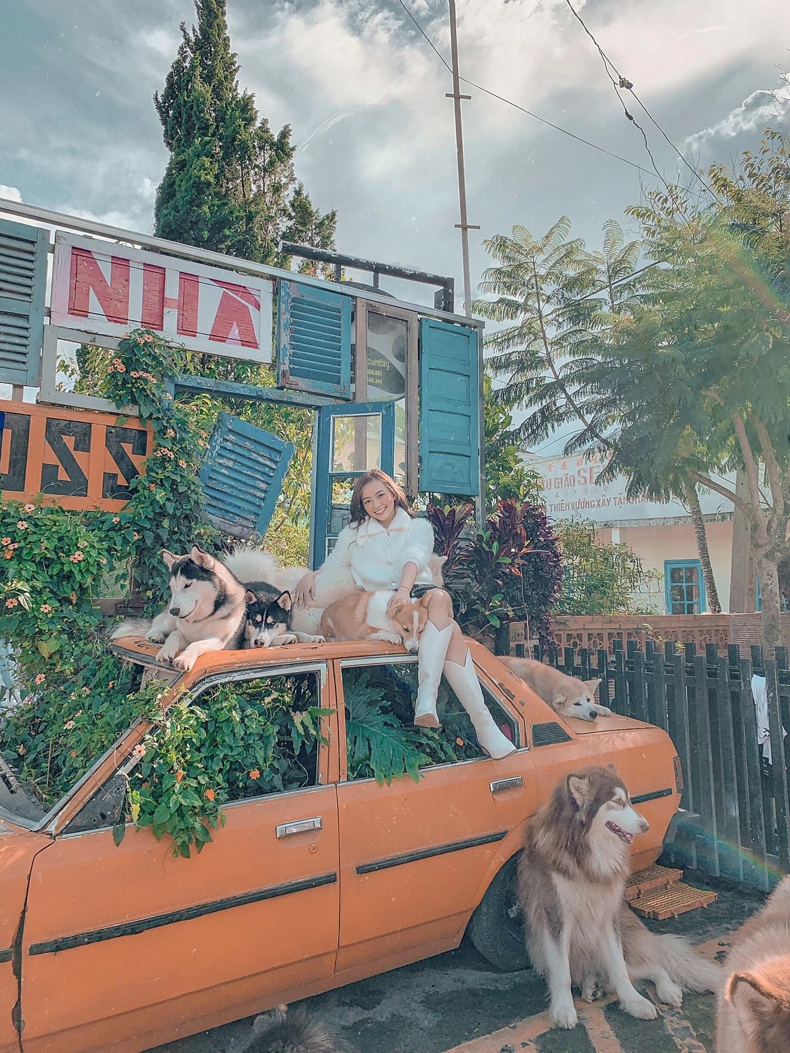 cafe chó đà lạt ảnh 6 cafe cho da lat anh 6