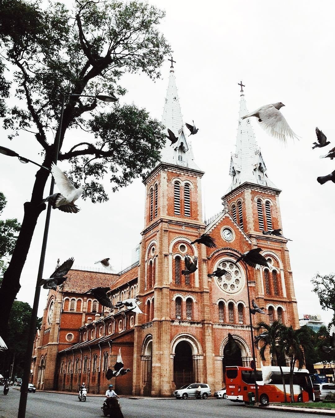 Vuong cung thanh duong anh 1