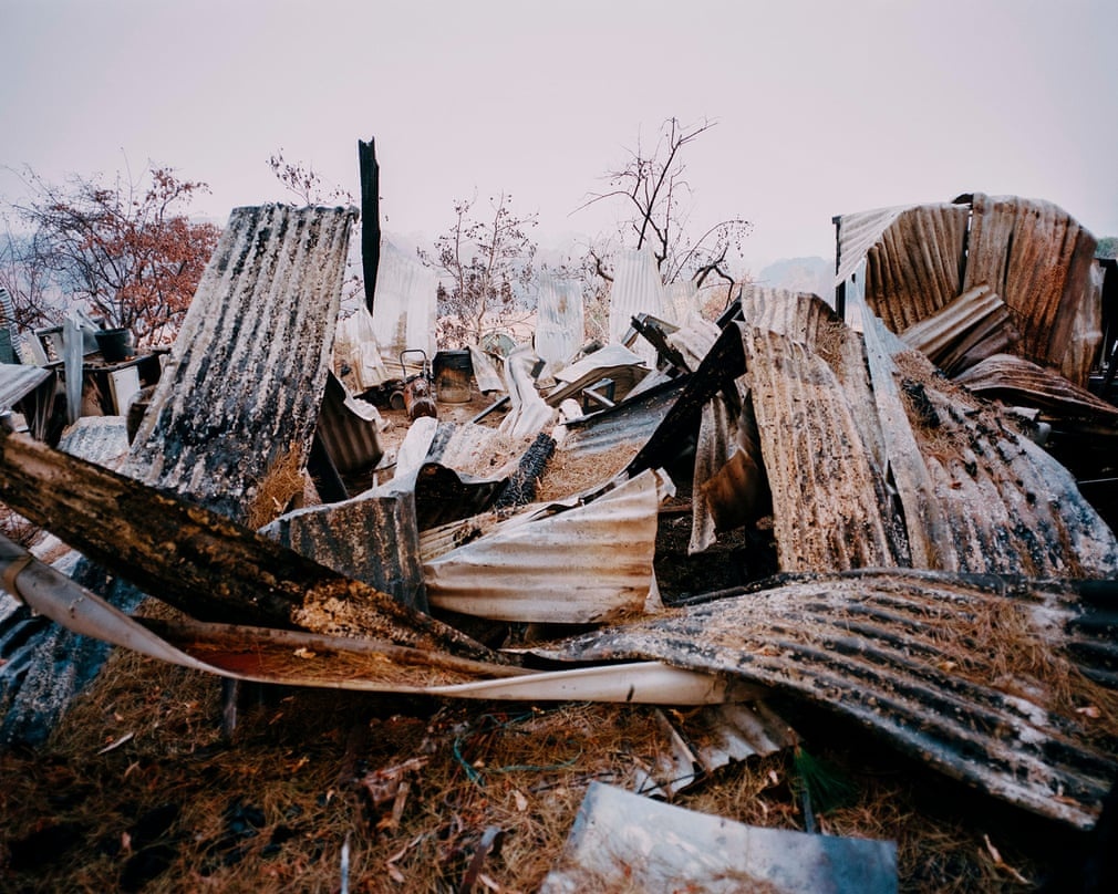 chay rung o australia anh 6