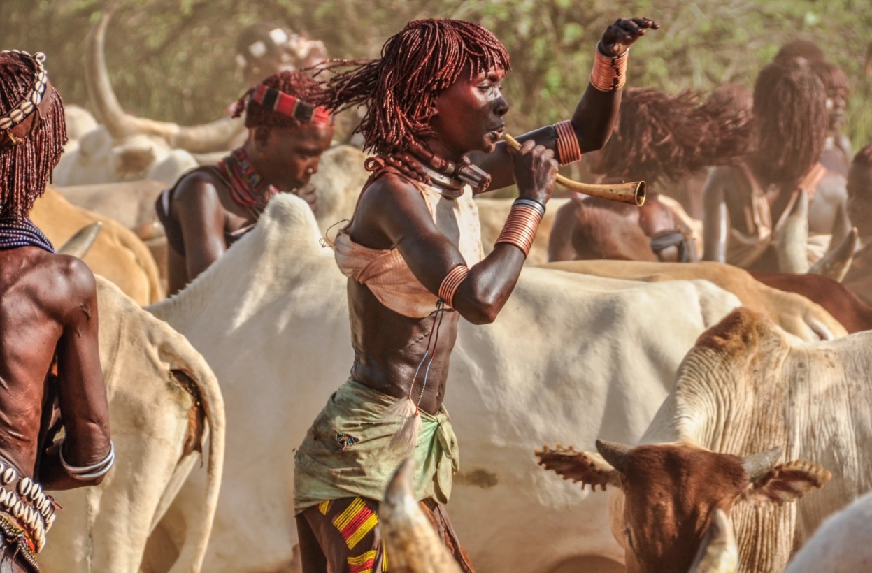 Nhung nguoi xin bi danh de chung to tinh yeu hinh anh