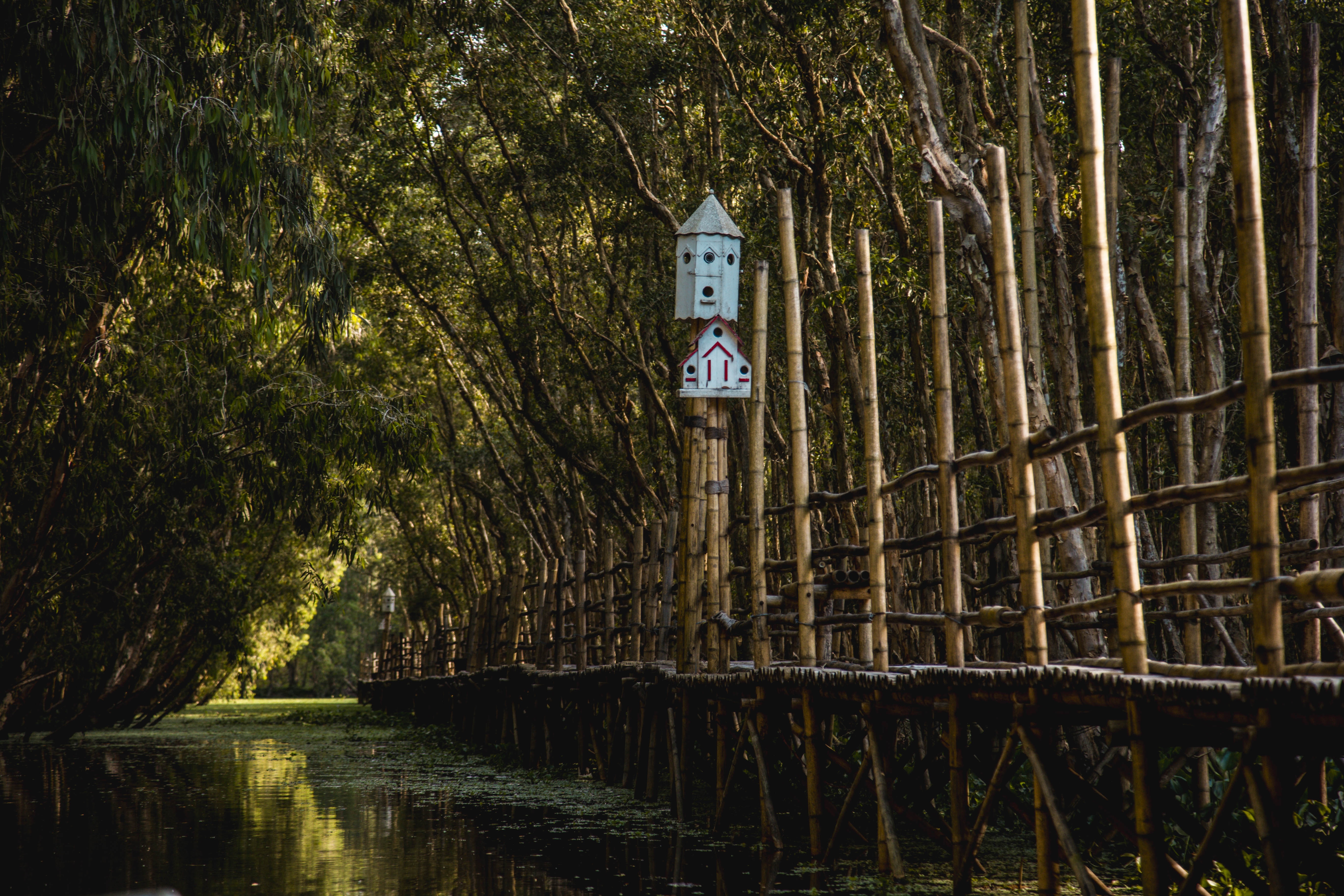 du lich phu quoc anh 8