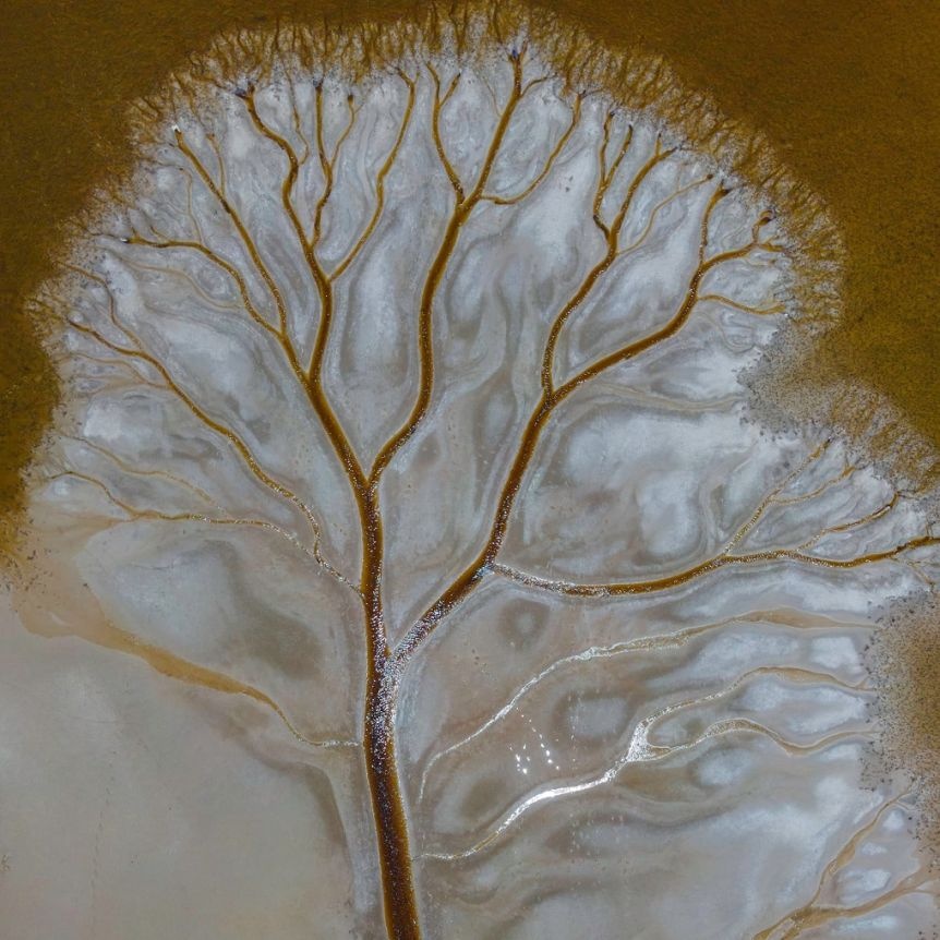 anh dep thien nhien anh 6