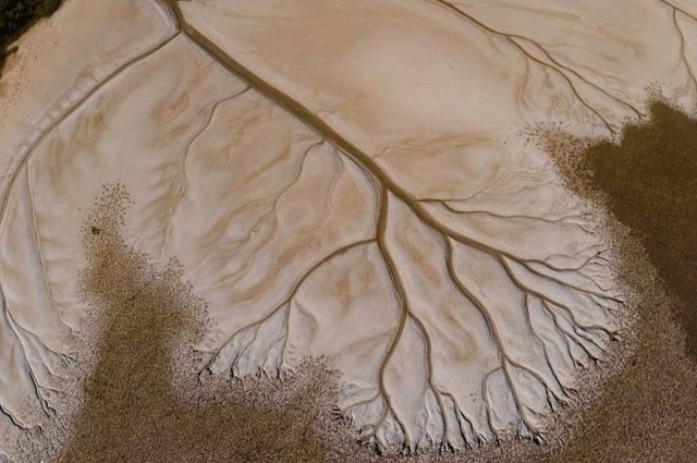 anh dep thien nhien anh 7