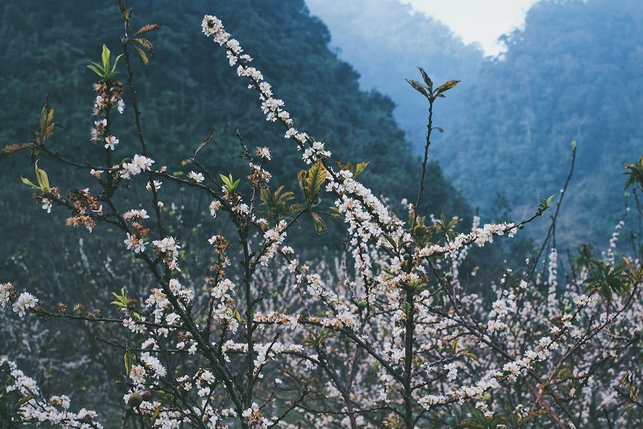 thung lung hang kia anh 14