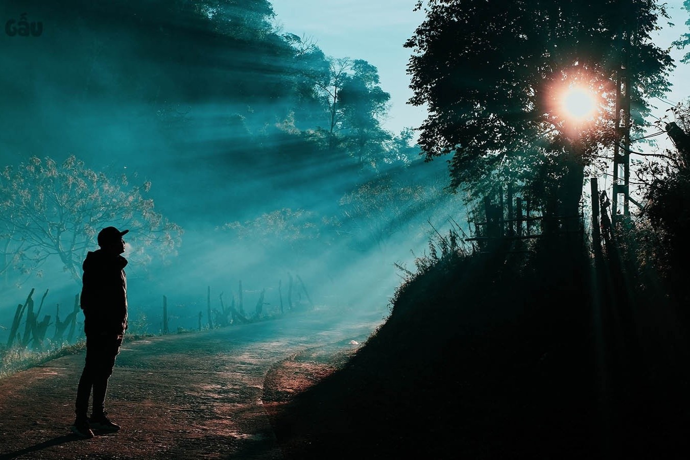 thung lung hang kia anh 8