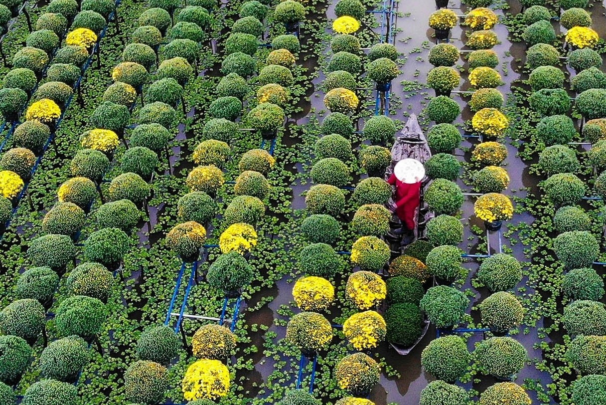 làng hoa sa đéc ảnh 5 lang hoa sa dec anh 5