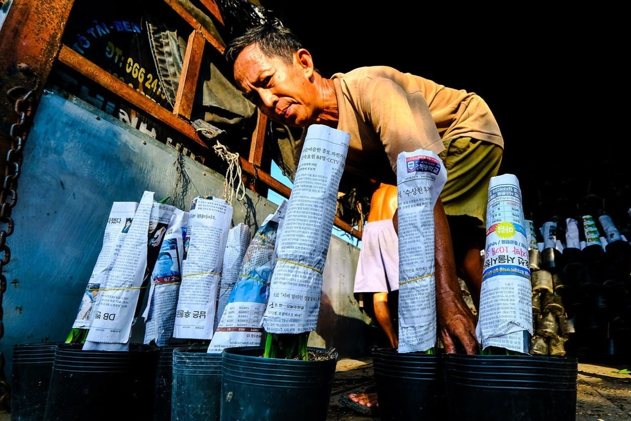 làng hoa sa đéc ảnh 4 lang hoa sa dec anh 4