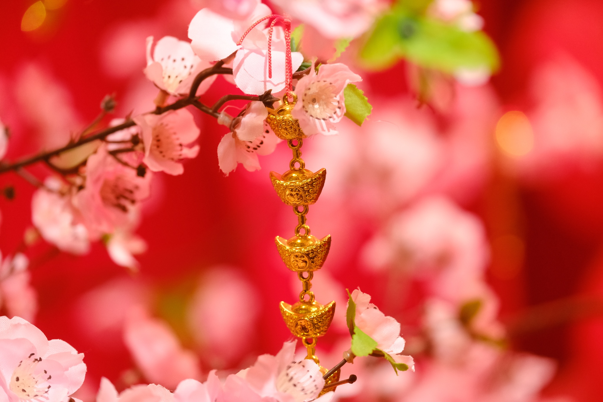 cafe chup anh tet anh 5