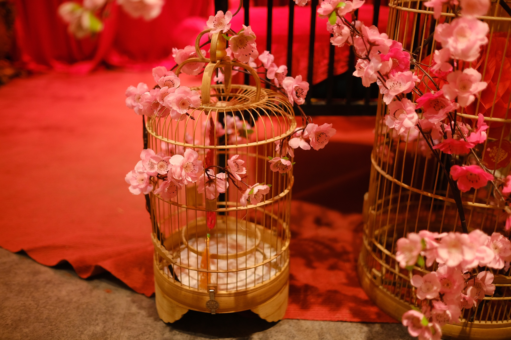 cafe chup anh tet anh 9