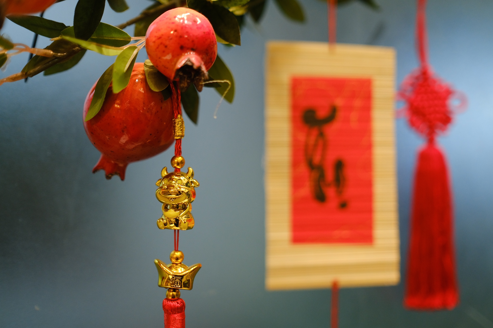 cafe chup anh tet anh 13