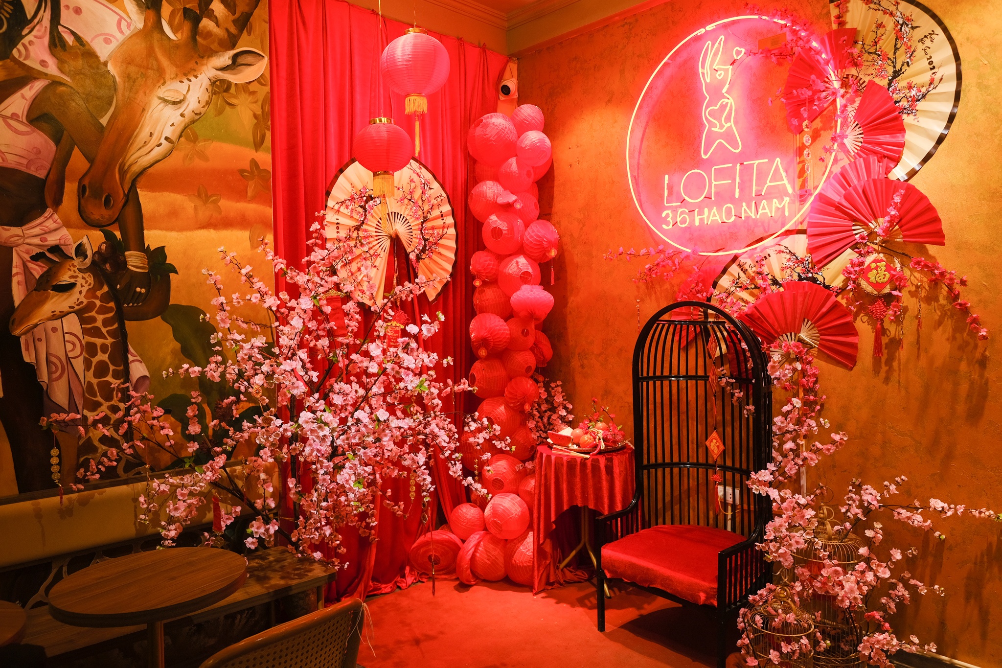 cafe chup anh tet anh 7