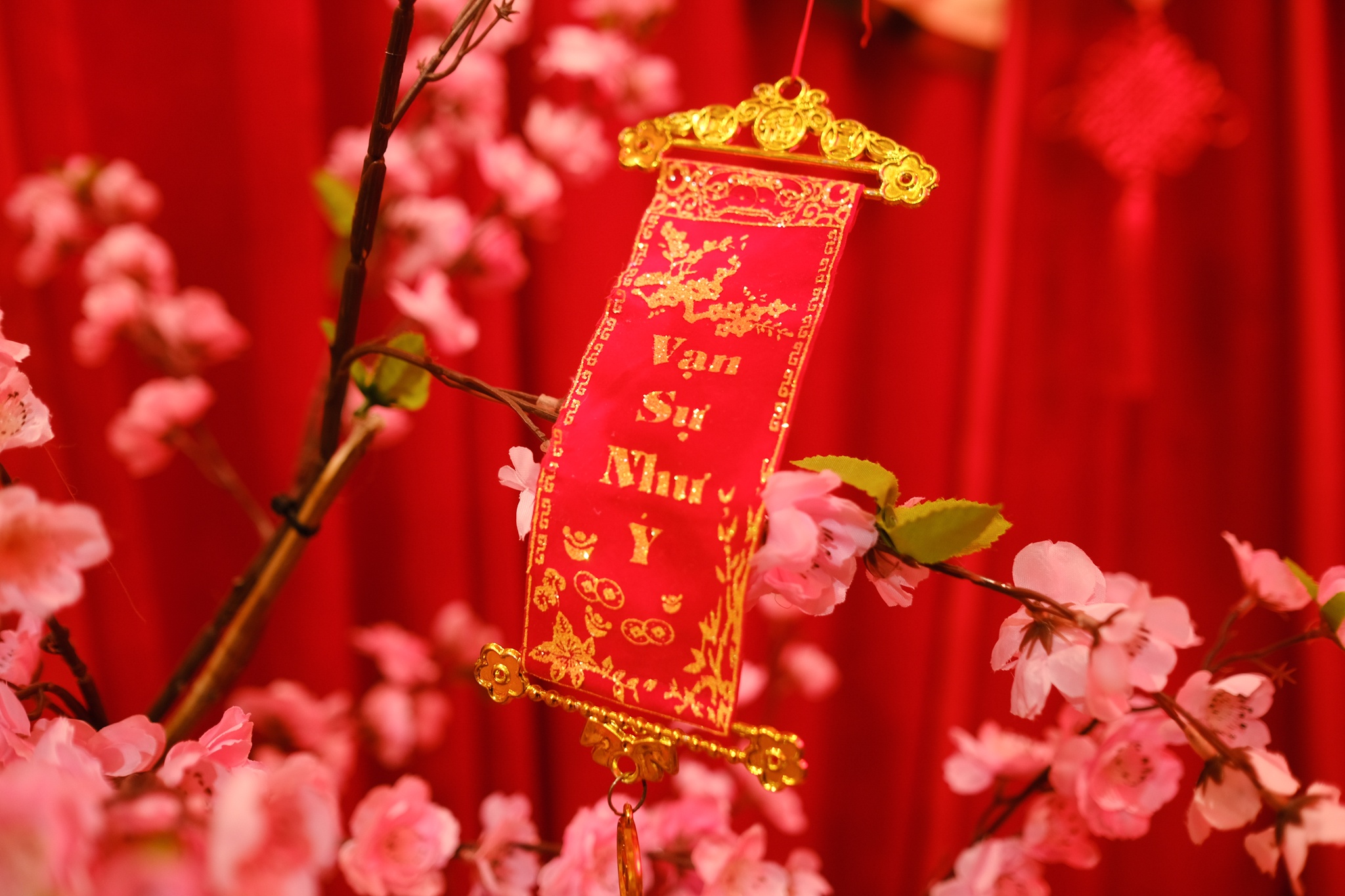 cafe chup anh tet anh 8