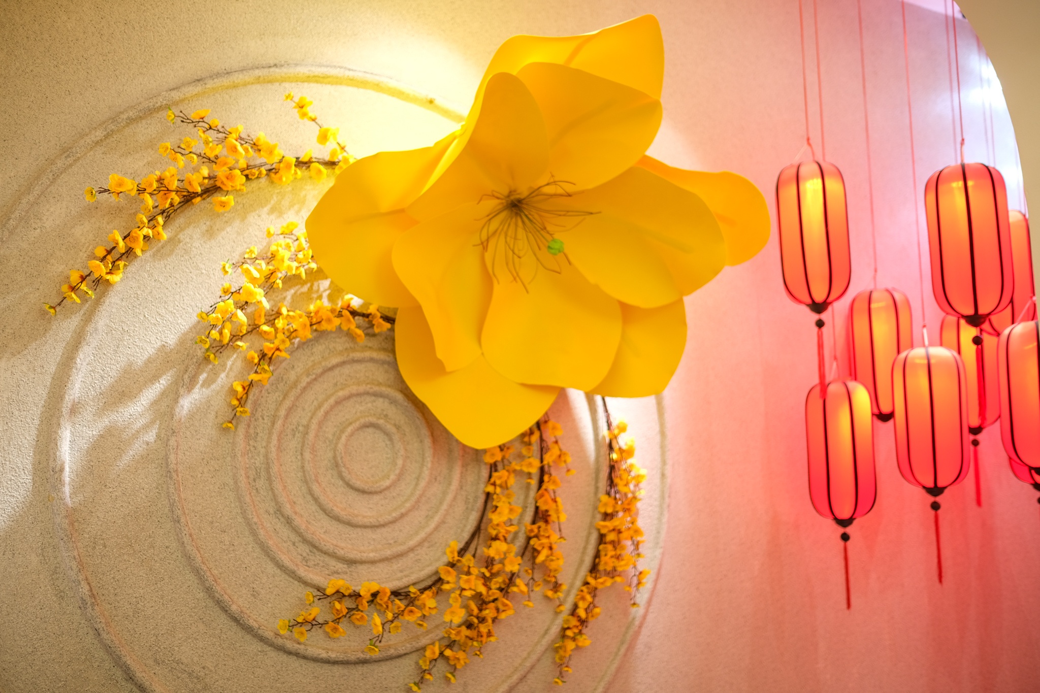 cafe chup anh tet anh 22