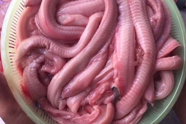 dac san phu yen anh 3