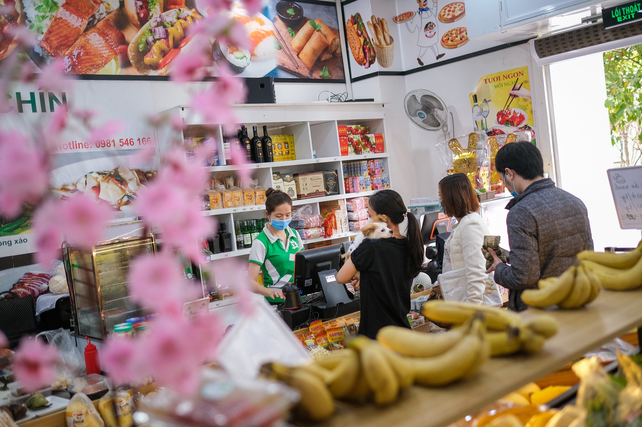 ship mam co tet anh 3