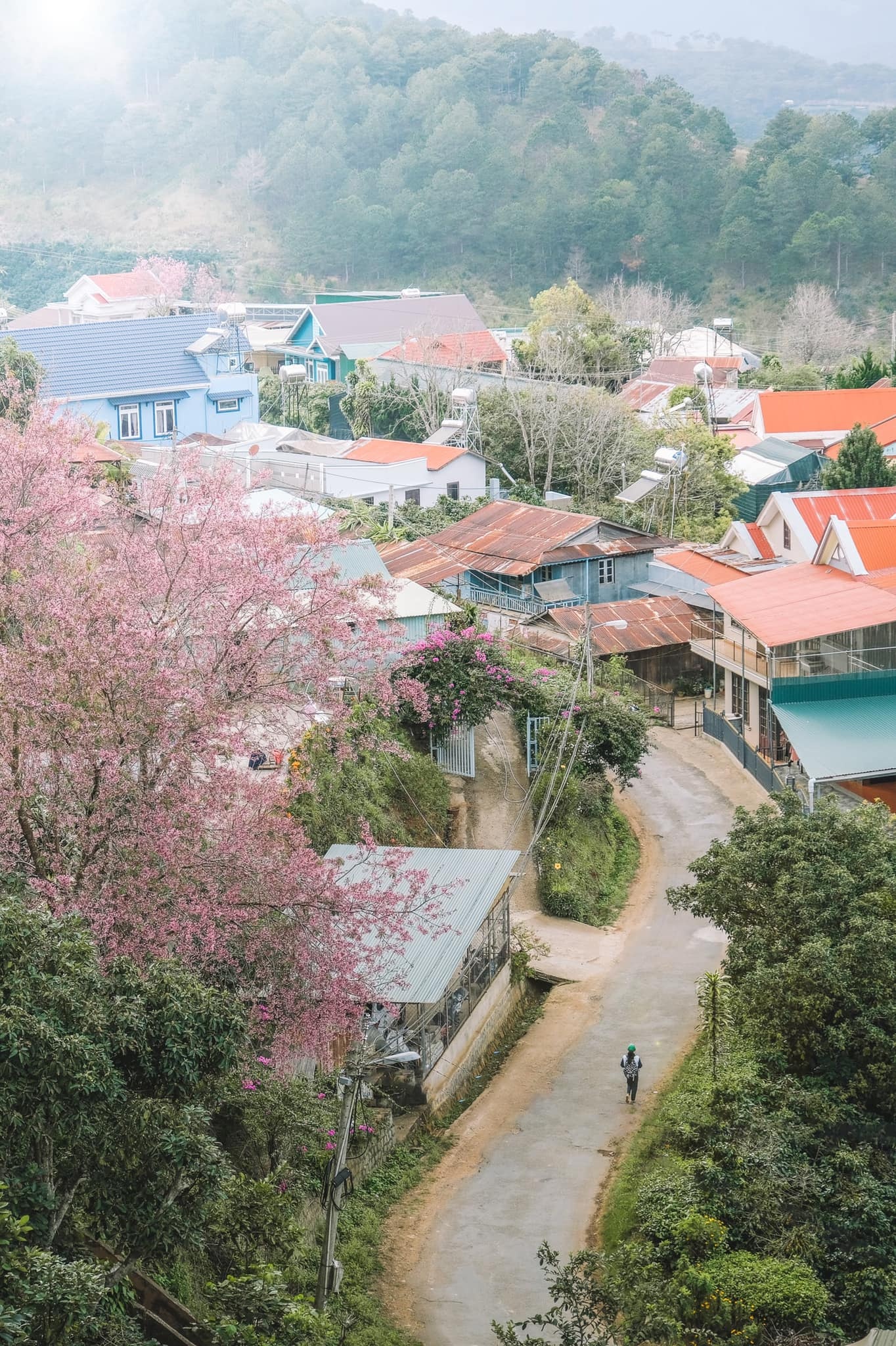 du lịch nước ngoài ảnh 6 du lich nuoc ngoai anh 6