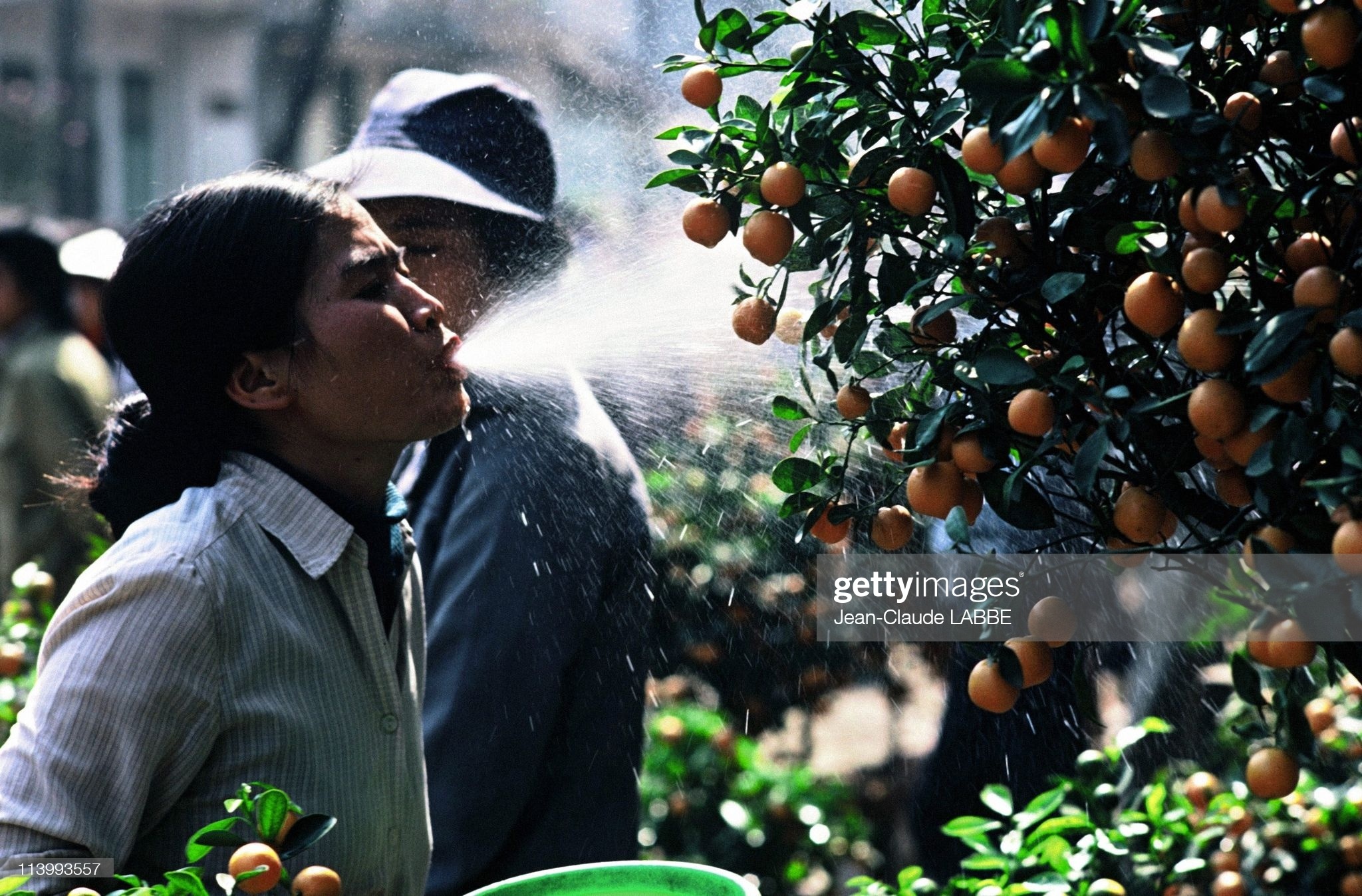 tet viet nam xua anh 5