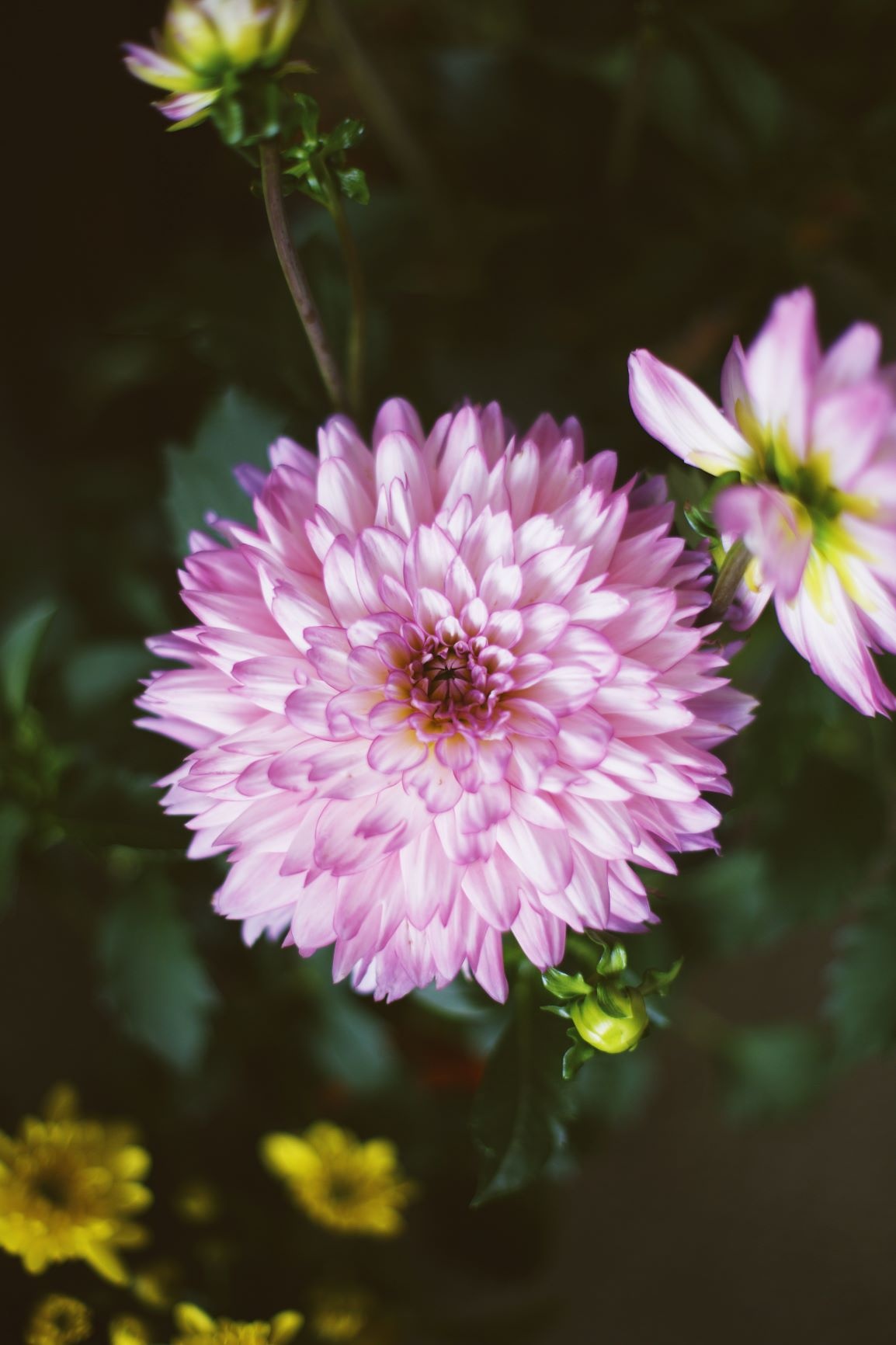 mâm cỗ 30 ảnh 13 mam co 30 anh 13