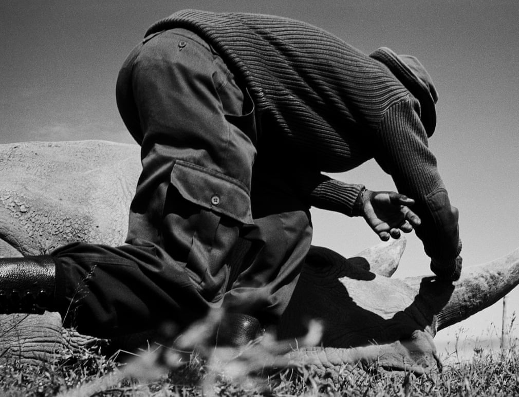 te giac trang anh 11