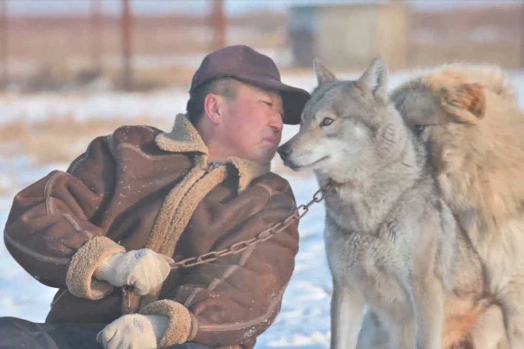 Nguoi nuoi 200 con soi o Noi Mong hinh anh