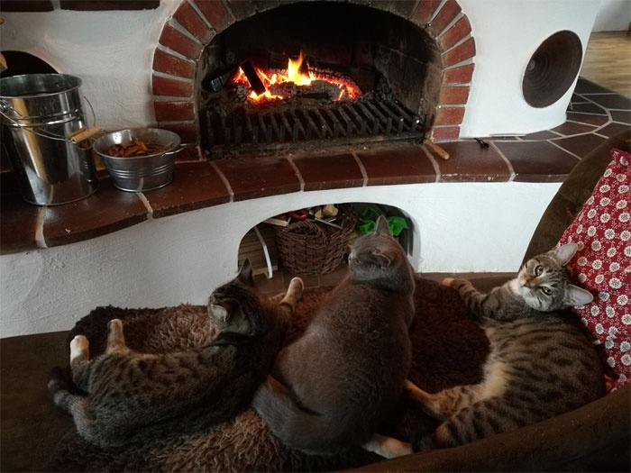 lâu đài cổ ảnh 8 lau dai co anh 8