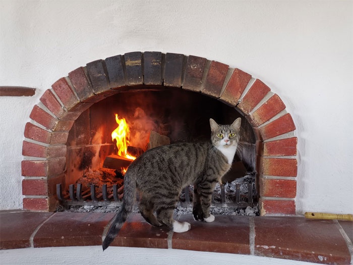 lâu đài cổ ảnh 4 lau dai co anh 4