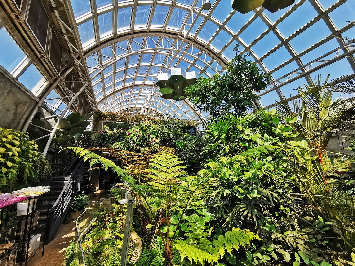 the gioi dong vat anh 2