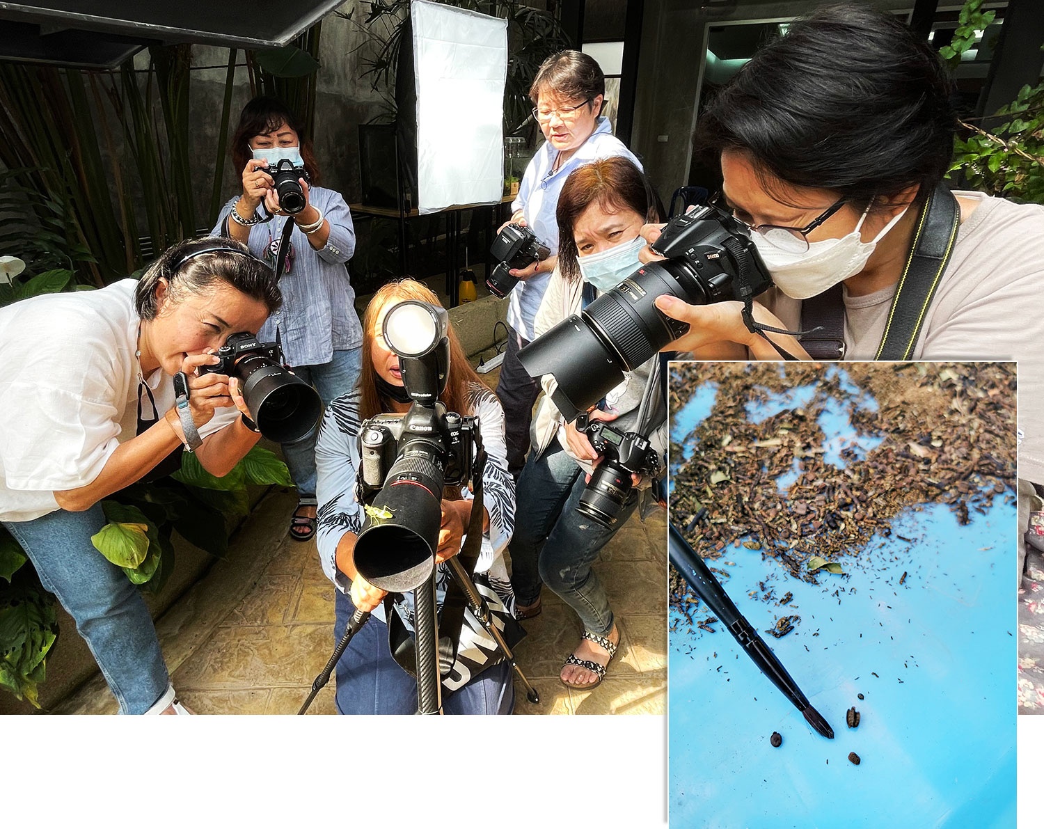 the gioi dong vat anh 7