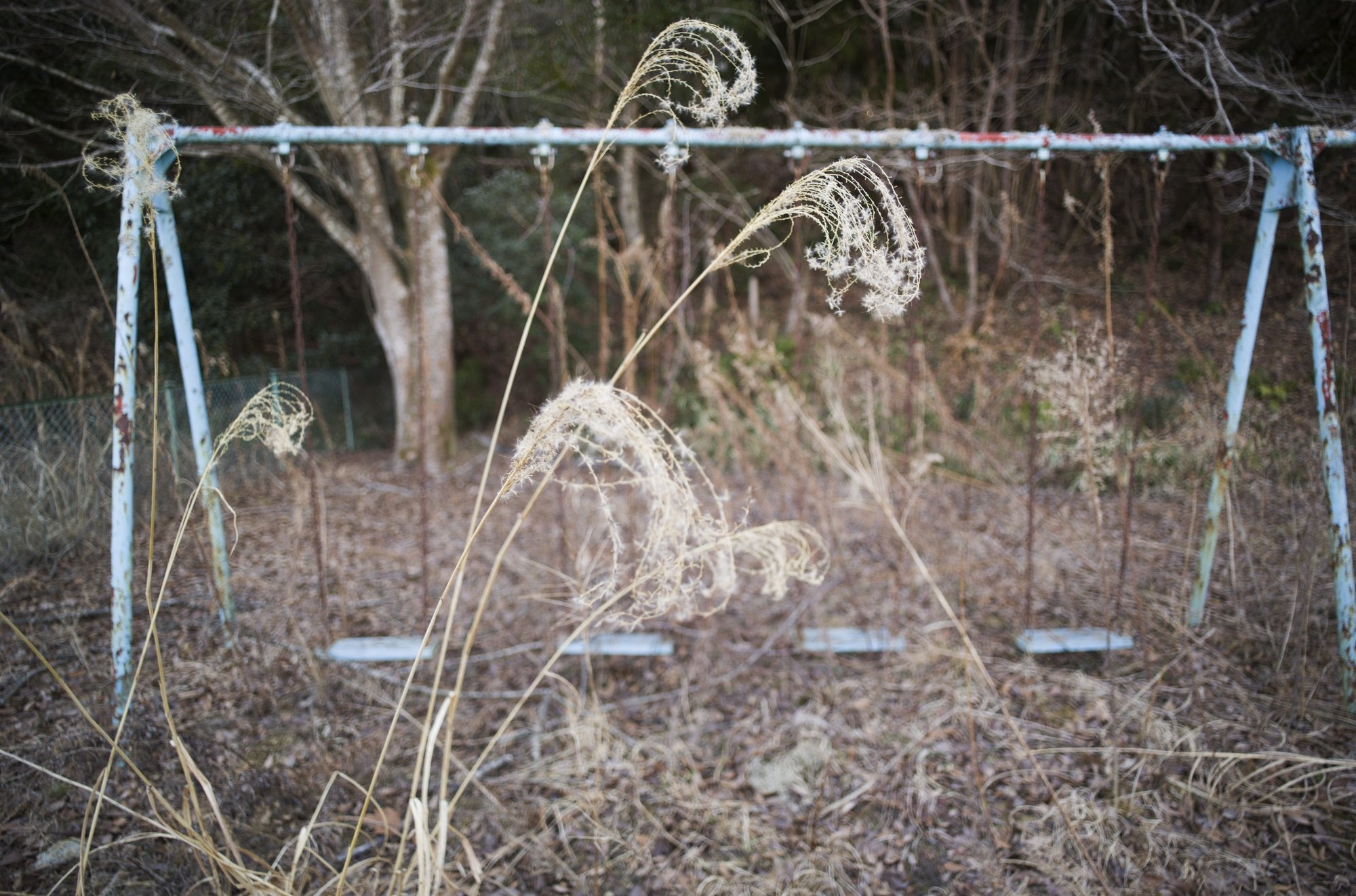 tham hoa fukushima anh 9