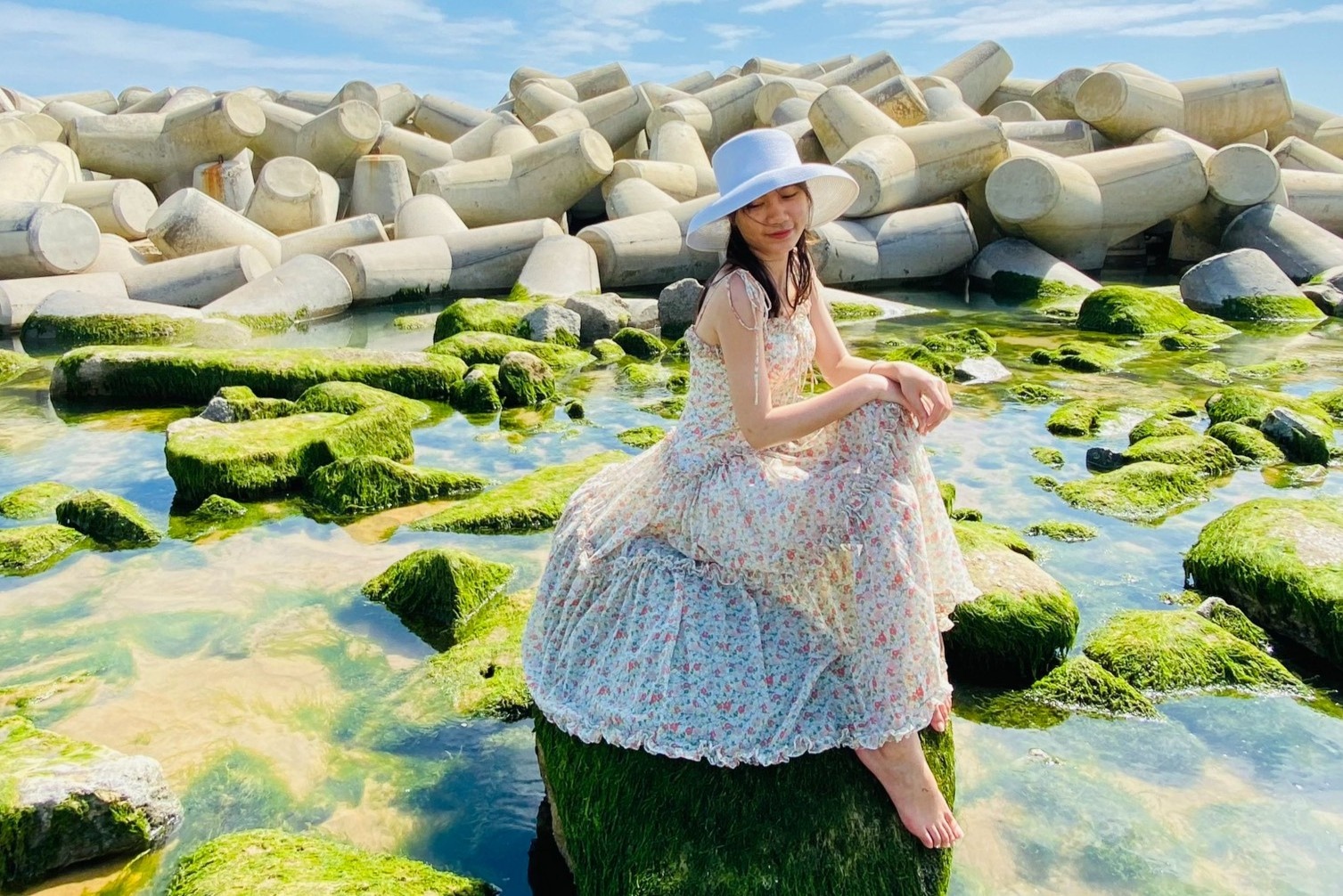 Mua reu xanh o Phu Yen dep nhat vao thang may? hinh anh