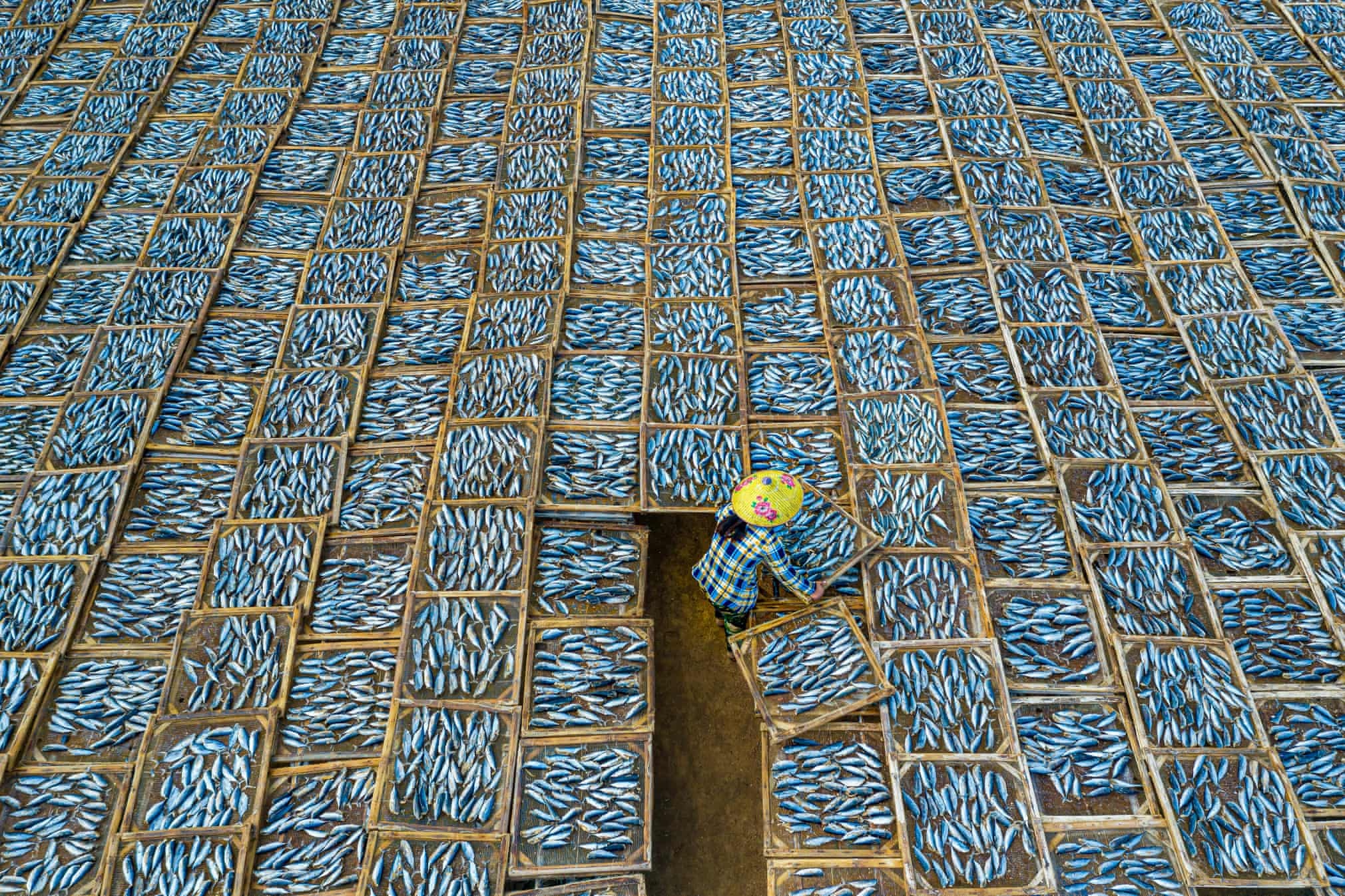 anh dep viet nam anh 1