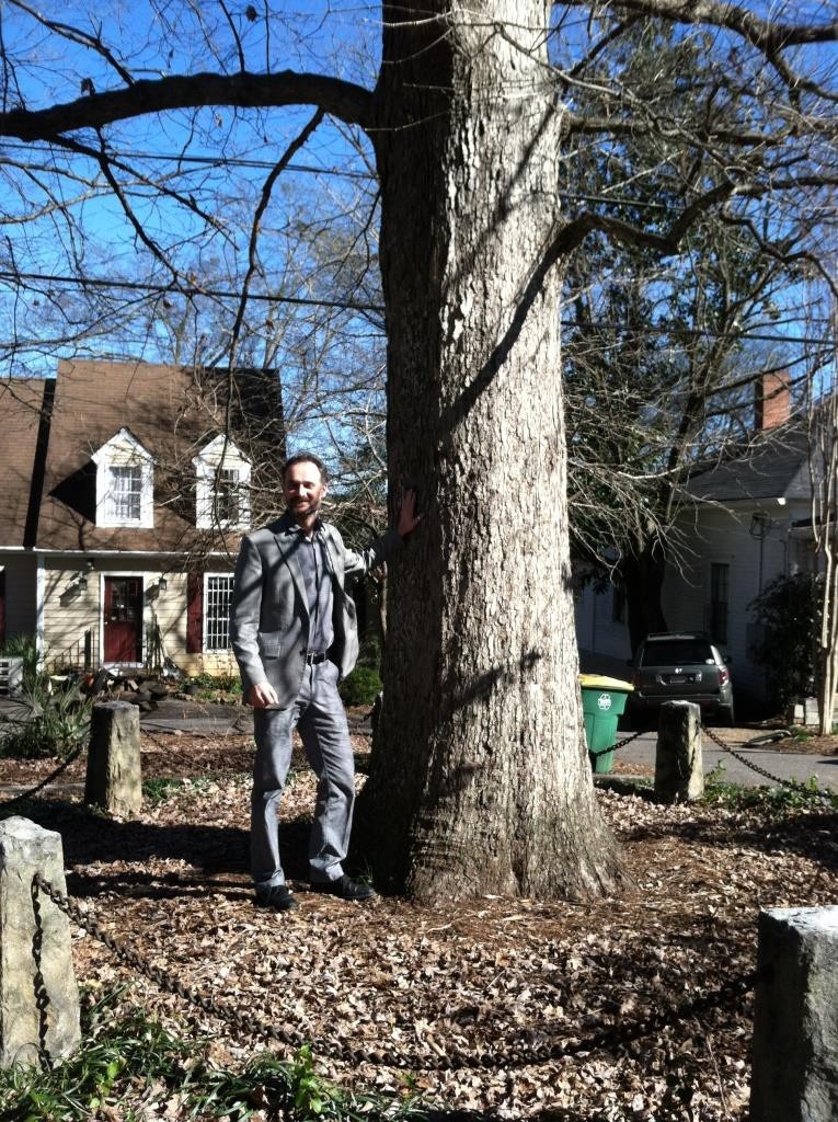 cây cổ thụ ảnh 3 cay co thu anh 3