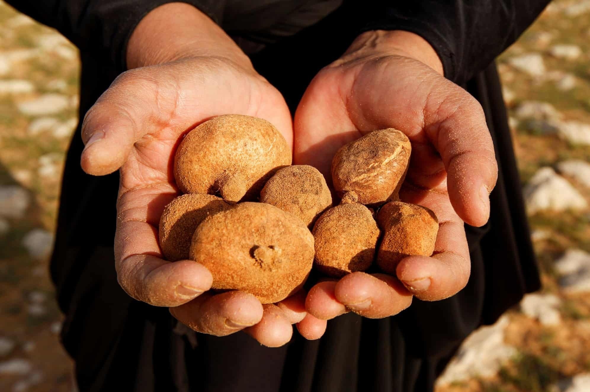 Lieu mang de san nam tren sa mac hinh anh