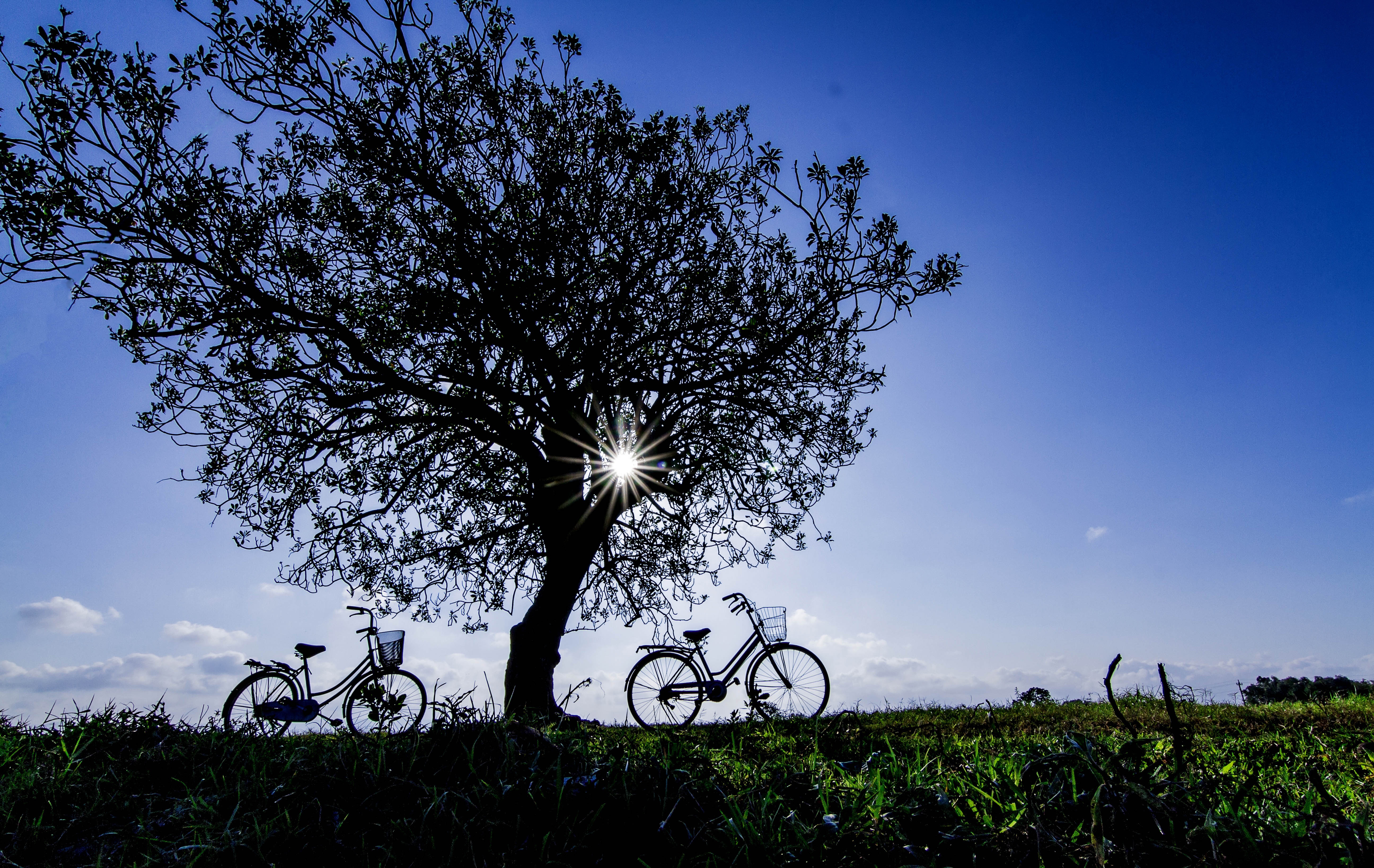 du lich quang ngai anh 11