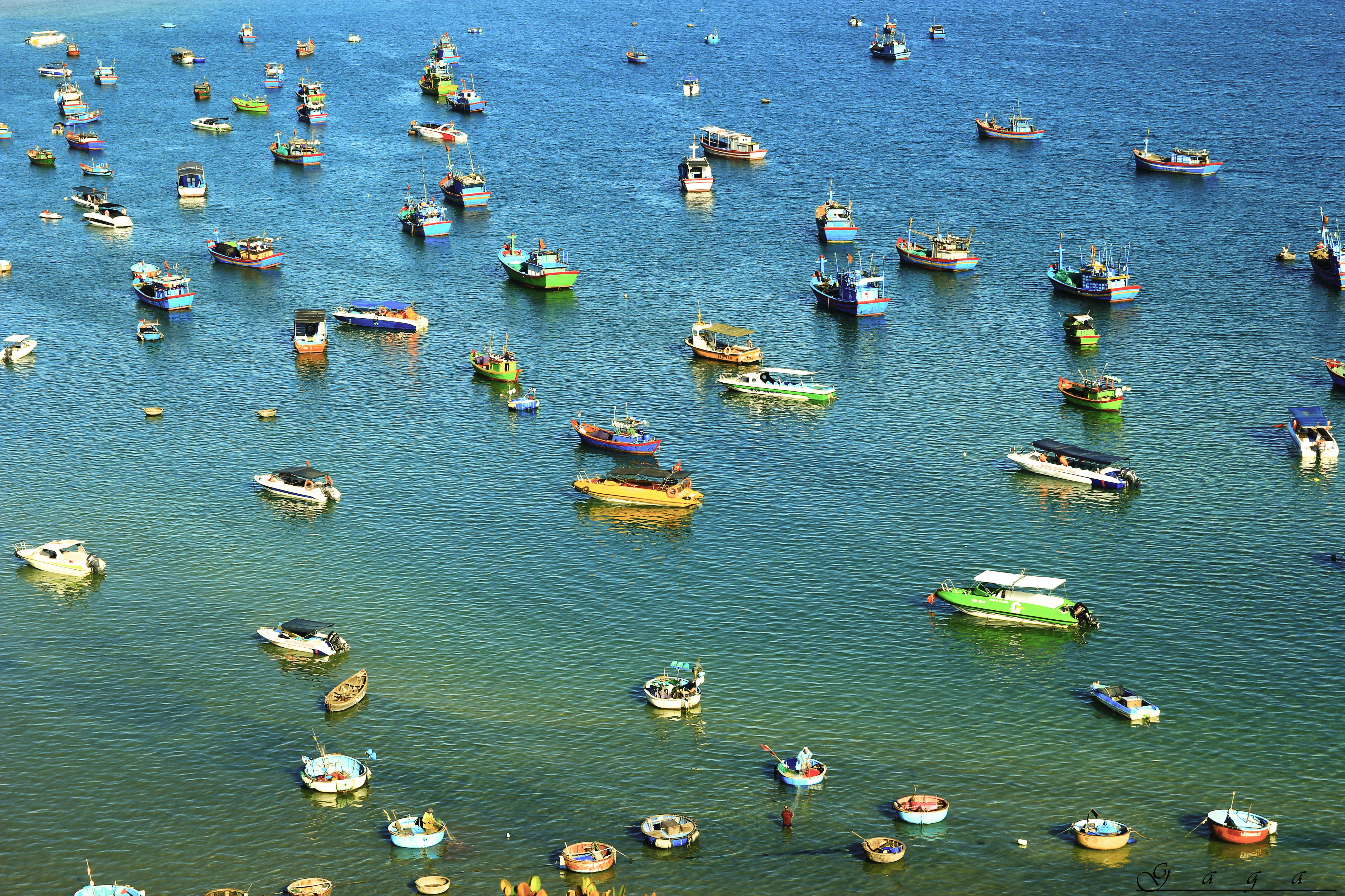 du lich quang ngai anh 12