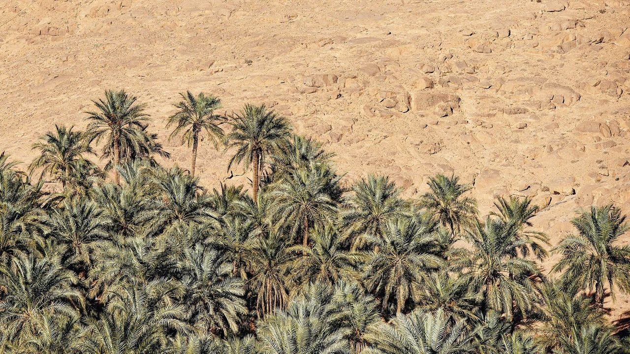 cam dung dien thoai anh 9