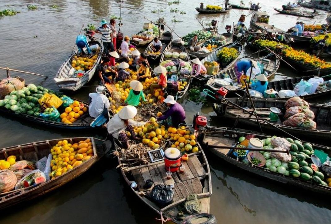 cho noi cai rang anh 3