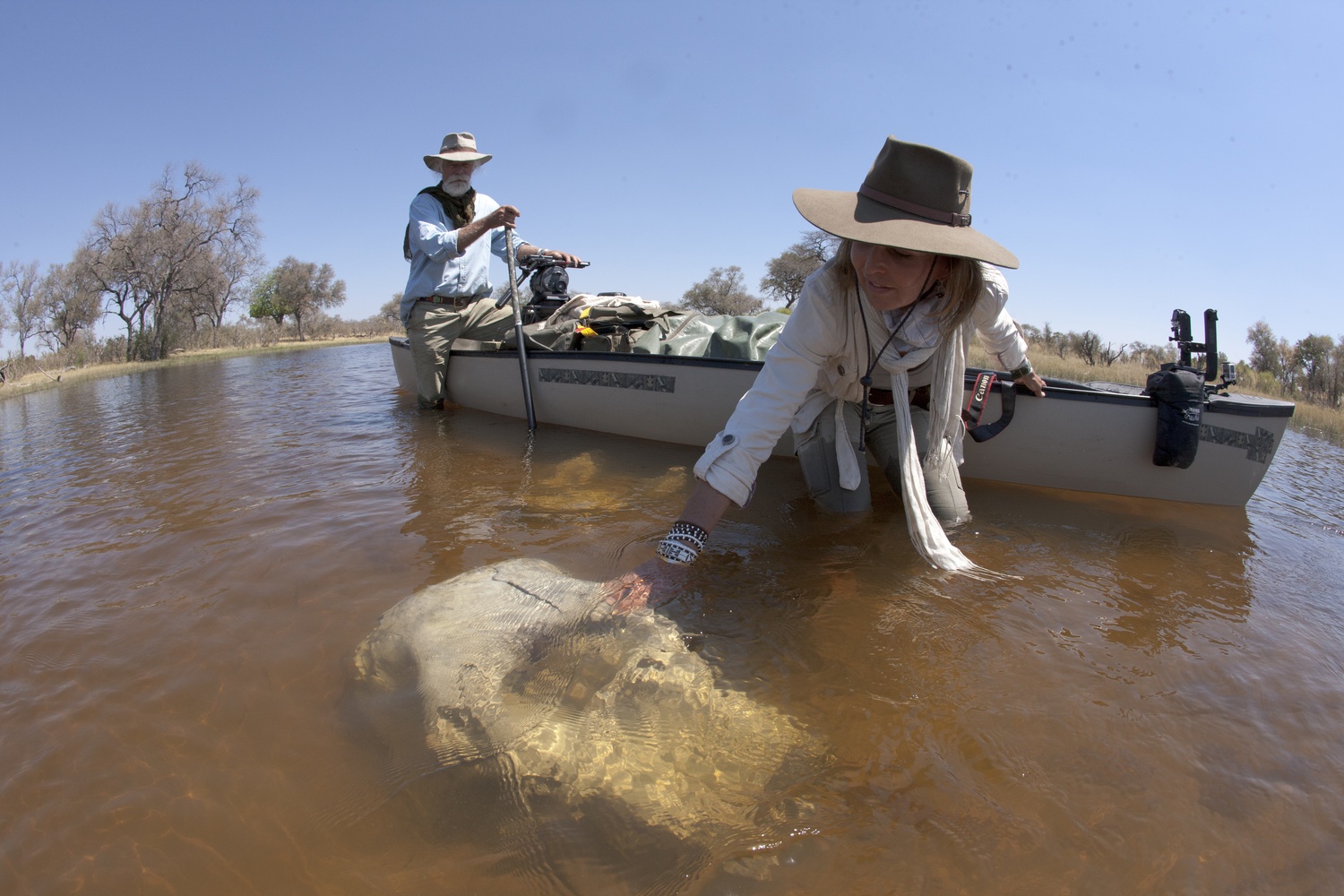 dong vat hoang da anh 11
