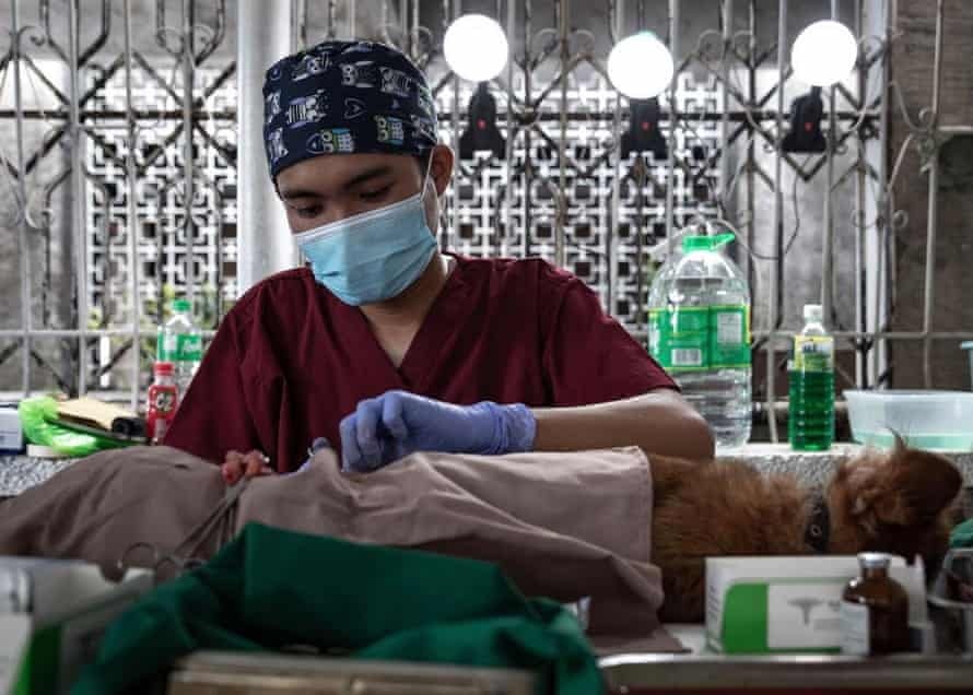 song trong nghia trang anh 6