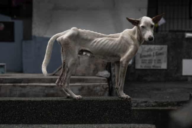 Song mon trong nghia trang o Philippines hinh anh